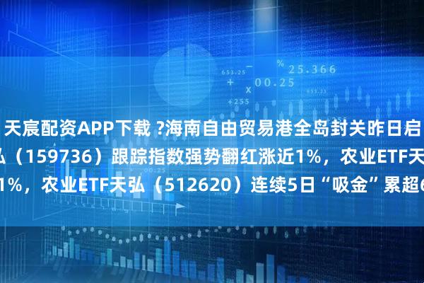 天宸配资APP下载 ?海南自由贸易港全岛封关昨日启动,食品饮料ETF天弘(159736)跟踪指数强势翻红涨近1%,农业ETF天弘(512620)连续5日“吸金”累超6000万元